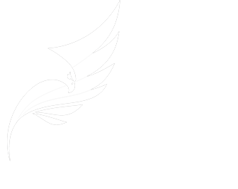 Securenass logo